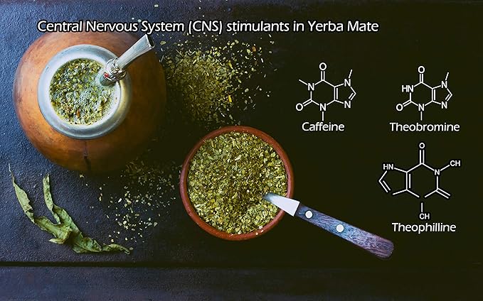 Yerba Mate Tea 1LB (16Oz) HI-CAFFEINE 100% CERTIFIED Organic SUPER-GREEN Yerba Mate | NO Dust | FRESH - NEVER Aged (Ilex Paraguariensis) | Brazilian Rain Forest Grown from U.S. Wellness Naturals