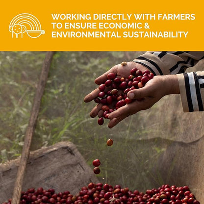 Stone Creek Coffee Light Roast Ground Coffee – 12 Ounce (Pack of 1) – Smooth Specialty Fresh Roasted Coffee Beans with Juicy and Citrus Tasting Notes, Boneshaker Colombia