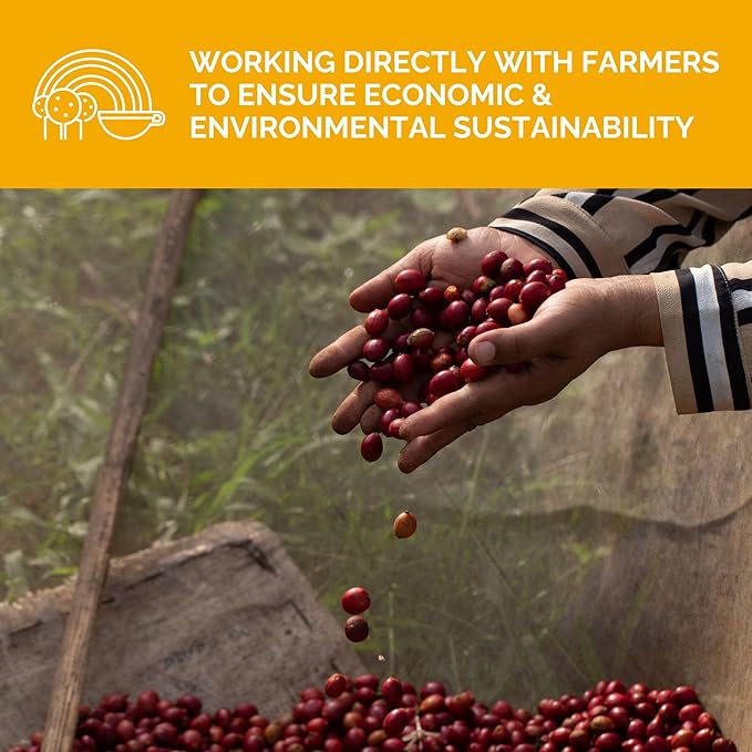 Stone Creek Coffee Light Roast Ground Coffee – 12 Ounce (Pack of 1) – Smooth Specialty Fresh Roasted Coffee Beans with Juicy and Citrus Tasting Notes, Boneshaker Colombia