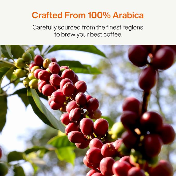 SATURNBIRD Coffee Instant Cold Brew, Dark Roast, Rich & Nutty Blend of 100% Specialty Arabica, Enjoy Hot or Cold, Freeze Dried Iced Coffee, 24 Single Servings for Home, Travel, Office (NO.5)