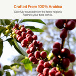 Load image into Gallery viewer, SATURNBIRD Coffee Instant Cold Brew, Medium-Dark Roast, Smooth &amp; Balanced Blend of 100% Specialty Arabica, Enjoy Hot or Cold, Freeze Dried Iced Coffee, 24 Single Servings for Home Travel Office (NO.4)