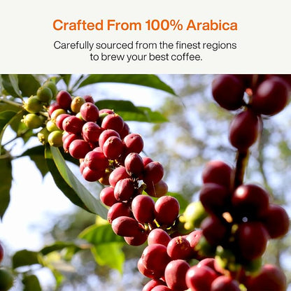 SATURNBIRD Coffee Instant Cold Brew, Medium-Dark Roast, Smooth & Balanced Blend of 100% Specialty Arabica, Enjoy Hot or Cold, Freeze Dried Iced Coffee, 24 Single Servings for Home Travel Office (NO.4)