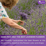 Load image into Gallery viewer, TOG999, Premium 60 Lavender Flower Tea Bags, 100% Natural &amp; Pure from Lavender Flowers. Loose Flower Lavender Herbal Tea. Lavender Flower Tea. No Sugar, No Caffeine, No Gluten, Vegan.