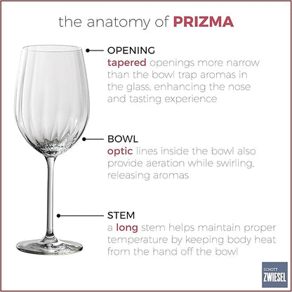 Zwiesel Glas Tritan Prizma Collection Riesling White Wine Glass, 10-Ounce, Set of 6