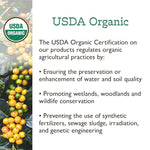 Load image into Gallery viewer, Fresh Roasted Coffee, Organic Peru | Mold &amp; Myco 3rd Party Tested, USDA Organic, Kosher | Med Roast 2 lb (32 oz) Whole Bean