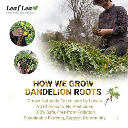 LeafLea 40 Dandelion Root Tea Bags, Dandelion Tea Supports Wellness and a Balanced Lifestyle, 100% Natural & Pure Dandelion Root, Vegan, No Sugar, Caffeine-Free