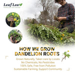 Load image into Gallery viewer, LeafLea 80 Dandelion Tea Bags, All Natural and Pure Dandelion Root Tea, Supports Digestion &amp; Immune Health, Individually Wrapped Tea Bags, Caffeine-Free, Vegan, No Sugar, Gluten-Free, Non-GMO, 2 Pack