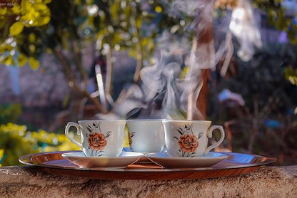 FIRE TEAS DETOX & GLOW - Ayurvedic Cleansing Tea - Organic White Tea, Turmeric (Curcumin), Ginger, Cardamom, Cinnamon & Saffron - Delicious, Fast & Effective -