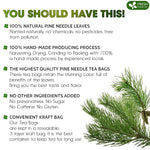 Load image into Gallery viewer, FreshDrinkUS, Pine Needle Tea Bags – 75 Tea Bags, Naturally Caffeine-Free, Refreshing Herbal Tea, Wild-Harvested Pine Leaves, Aromatic and Soothing – Non-GMO &amp; Eco-Friendly Packaging