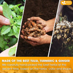 Load image into Gallery viewer, FreshDrinkUS, Premium 55 Tulsi Turmeric Ginger Tea Bags, 100% Natural &amp; Pure from Tulsi Holy Basil Leaves, Turmeric and Ginger. Made with Natural Material Tea Bags. No Sugar, No Caffeine, Vegan.