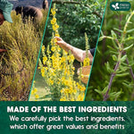 Load image into Gallery viewer, FreshDrinkUS, StrongerLungs 75 Tea Bags - Mullein Leaf, Ginseng, Elderberry, Ginger &amp; Thyme - Supports Lung Cleanse, Congestion Relief &amp; Mucus Detox - Caffeine-Free &amp; All-Natural