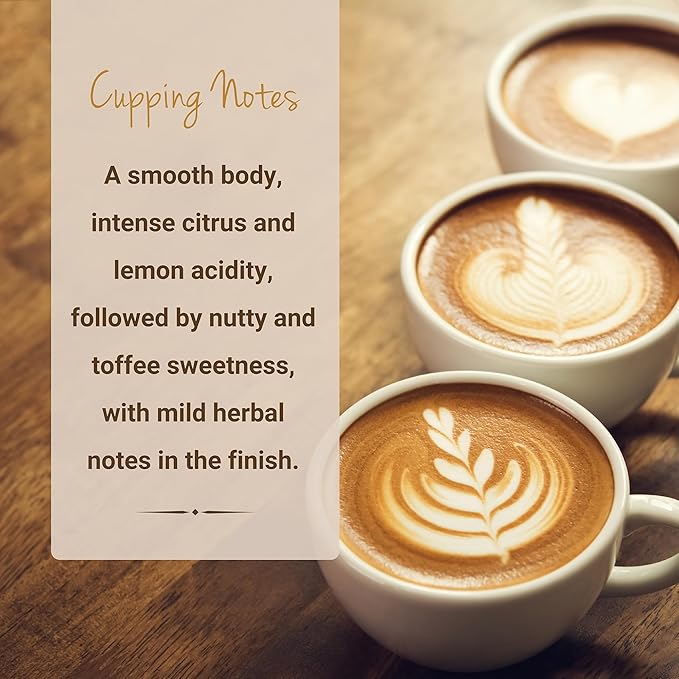 Peruvian Coffee, Ground Coffee, Premium Peru Cenfrocafe Single Origin Fresh Roasted Ground Coffee | Cubico Coffee | 12 Ounce Bag