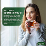 Load image into Gallery viewer, FreshDrinkUS, Premium Wormwood Tea - 135 Tea Bags - Handcrafted Herbal Blend, Caffeine-Free – Smooth Taste &amp; Naturally Refreshing.