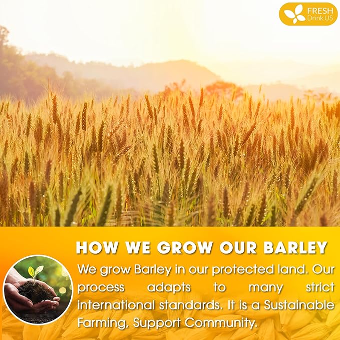 FreshDrinkUS, Premium 50 Barley Tea Bags, 100% Natural & Pure from Barley. Herbal Tea. Made with Natural Material Tea Bags. No Sugar, No Caffeine, No Gluten, Vegan.