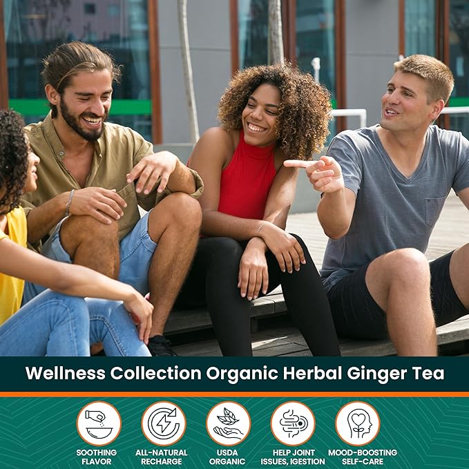 Herbaly Wellness Collection Organic Herbal Ginger Tea, 70 g, 28 Count Bag (Pack of 1)