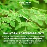 LeafLea 40 Moringa Tea Bags, 100% Natural and Pure Moringa Leaf Herbal Tea, Supports Digestion and Immune Health, Caffeine-Free, Sugar-Free, Vegan