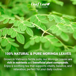 Load image into Gallery viewer, LeafLea Moringa Tea, 120 Fresh-Sealed Tea Bags, Premium Herbal Blend from 100% Natural Moringa Leaves, Supports Digestion &amp; Immune Health, Caffeine-Free, Sugar-Free, Vegan, Non-GMO