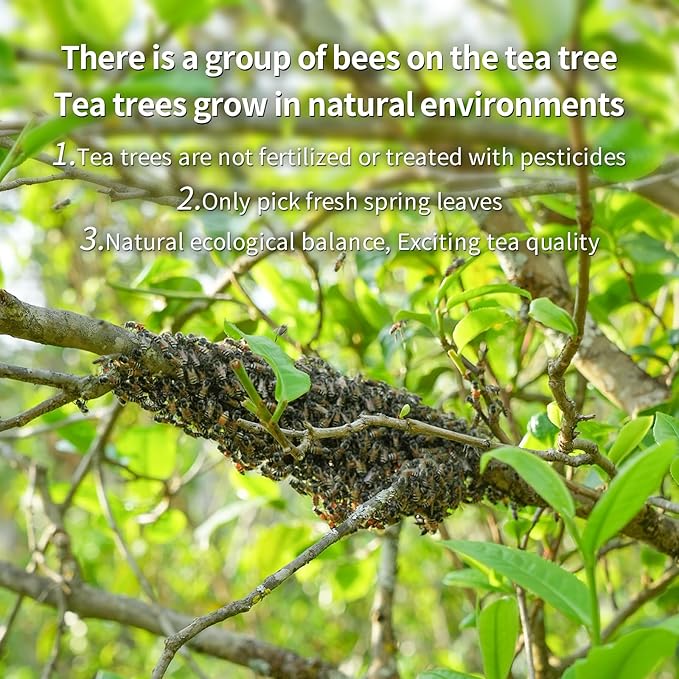 XIHETANK Black Tea Bags, 100 Count,Ancient Tree Black Tea,Full Sweetness Taste,Containing Caffeine, 100% Natural,Caffeinated tea，Can Be Soaked Hot or Cold (Honey Fragrant Black Tea) Black tea bags