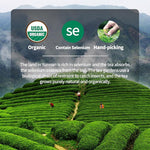 Load image into Gallery viewer, Organic Pu Erh Tea, 7.06 Oz USDA Certified Aged Fermented Organic Ripe Puerh Tea Loose Leaf Black Tea, No Dust Production Workshop, Chinese Yunnan Ancient Tree Puer Tea Perfect for Hot Brew