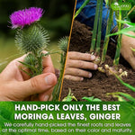 Load image into Gallery viewer, TOG999, Premium Stomach &amp; Liver Herbal Tea – 60 Tea Bags – Milk Thistle Seed, Ginger, Fennel, Peppermint &amp; Licorice – Caffeine-Free – Soothing &amp; Refreshing Herbal Blend for Daily Enjoyment