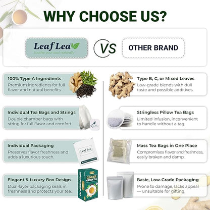 LeafLea Ginger Green Tea, 120 Tea Bags, Premium Green Tea Blend with Pure Ginger Root, Supports Digestive Wellness, Natural Flavor, Low Caffeine, Sugar-Free