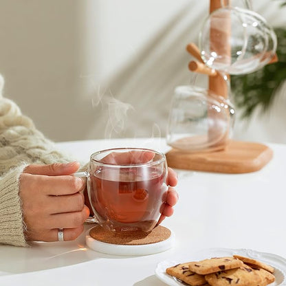 CNGLASS 8.5oz Glass Coffee Mug,Double Wall Insulated Glass Mugs with Handle,Clear Espresso Mugs for Latte,Cappuccino,Tea Bag,Set of 4