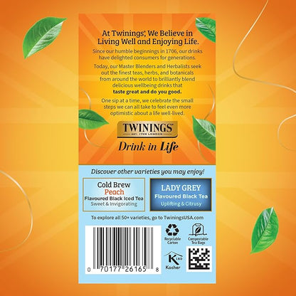 Twinings English Classic Cold Brew Iced Tea Bags, 20 Count (Pack of 6), Unsweetened Black Tea, Caffeinated, 120 Teabags