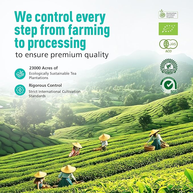 Emerail Ceremonial Grade Matcha Green Tea Powder, Premium First Harvest Unsweetened, 100% Pure Matcha for Lattes, Smoothies, and Baking (40g / 1.4oz)