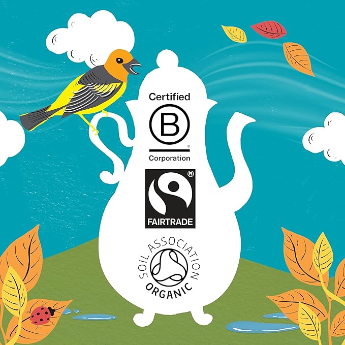 Clipper Coffee: Latin American Decaf Instant Coffee – Medium Roast Coffee, Freeze Dried & Ethically Sourced – 100g (3.53oz)