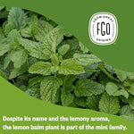 Load image into Gallery viewer, FGO Organic Lemon Balm Tea, 100 Count, Eco-Conscious Herbal Tea Bags, Resealable Bag, Caffeine Free, Packaging May Vary (Pack of 1)