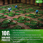 Load image into Gallery viewer, FreshDrinkUS, Permium 8oz Mulberry Leaves, 100% Natural &amp; Pure from Mulberry Leaves, Loose Leaf Herbal Tea, No Additives, No Caffeine, Vegan