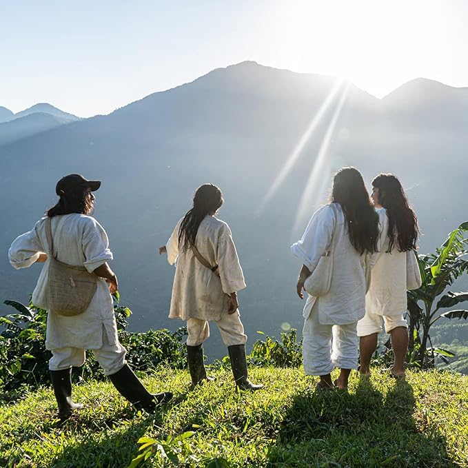 The Younger Brothers Trading Co. Kogi Coffee | Indigenous Wild Grown Whole Bean | Ethically Sourced Single Origin Colombian Coffee | Kogi Sauna Family Medium Roast (12 Ounce (Pack of 5))