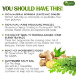 Load image into Gallery viewer, TOG999, Permium Moringa Ginger Herbal Tea – 60 Tea Bags – Caffeine-Free, Smooth &amp; Warming Blend – Pure Ingredients, Sustainably Sourced. No Sugar. No Gluten. Vegan.