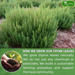 Load image into Gallery viewer, TOG999, Premium 120 Thyme Leaf Tea Bags, 100% Natural &amp; Pure Thyme Leaves. Loose Leaf Thyme Herbal Tea. Thyme Leaf Tea. No Sugar, No Caffeine, No Gluten, Vegan.