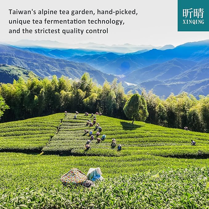 Xin Qing Taiwan Green Tea Taiwan high mountain Green Tea Loose Taiwan Tea | Naturally Sweet and Not Bitter 200g/7.05oz