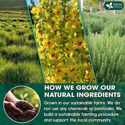 FreshDrinkUS, StrongerLungs 40 Tea Bags - Mullein Leaf, Ginseng, Elderberry, Ginger & Thyme - Supports Lung Cleanse, Congestion Relief & Mucus Detox - Caffeine-Free & All-Natural