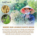 Load image into Gallery viewer, LeafLea 80 Licorice Root Tea Bags, Pure Licorice Spice Tea, Naturally Sweet, Te De Regaliz Herbal Gently Supports Relaxation and Digestive Comfort, Nutrient-Rich, Vegan, Sugar- free, Caffeine Free