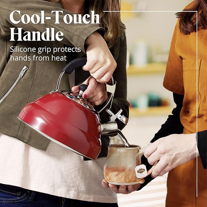 Willow & Everett Whistling Tea Kettle for Stove Top - 3.17 Quart Tea Pots for Stove Top w/Stainless Steel, Mirror Finish & Strainer