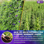 Load image into Gallery viewer, FreshDrinkUS, Clarity Calm Butterfly Pea Flower Tea – 60 Tea Bags Herbal Blend of Butterfly Pea Flower, Rosemary, Moringa, Lemongrass &amp; Licorice Root – Caffeine-Free. Sugar-Free. Gluten-Free. Vegan