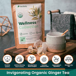 Load image into Gallery viewer, Herbaly Wellness Collection Organic Herbal Ginger Tea, 70 g, 28 Count Bag (Pack of 1)