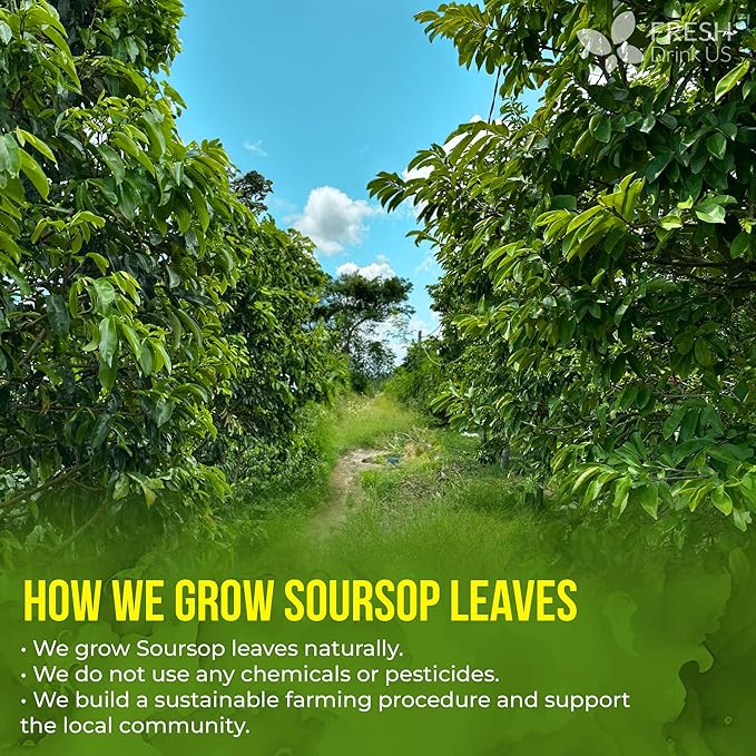 40 Premium Soursop Graviola Leaf Tea Bags, 100% Natural and Pure from Soursop Leaves, Handmade, Made With Natural Materials-Corn Fiber Tea Bag, Sugar/Caffeine/Gluten Free, Hoja Guanabana Tea