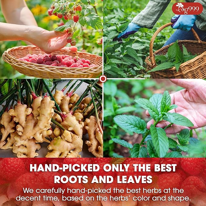 TOG999, 60 Tea Bags for Hormone Balance Menstrual Cycle Support, 100% Natural & Pure from Red Raspberry Leaves with Spearmint Flavor. Natural Material Tea Bags. No Sugar, No Caffeine, Vegan. (60 Teabags)