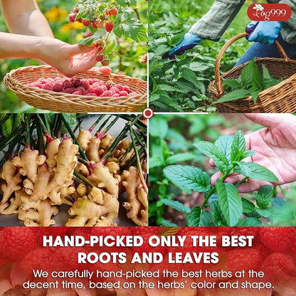 TOG999, 60 Tea Bags for Hormone Balance Menstrual Cycle Support, 100% Natural & Pure from Red Raspberry Leaves with Spearmint Flavor. Natural Material Tea Bags. No Sugar, No Caffeine, Vegan. (60 Teabags)