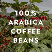 Community Coffee Breakfast Blend 12 Ounces, Medium Roast Ground Coffee, 12 Ounce Bag (Pack of 4)