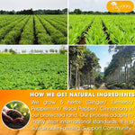 Load image into Gallery viewer, 120 Tea Bags - Anti-Inflammaheb Loose Leaf Tea, 100% Natural from Ginger, Turmeric, Peppermint, Black Pepper, Cinnamon. Made with Natural Material Tea Bags. No Sugar, No Caffeine, No Gluten, Vegan.