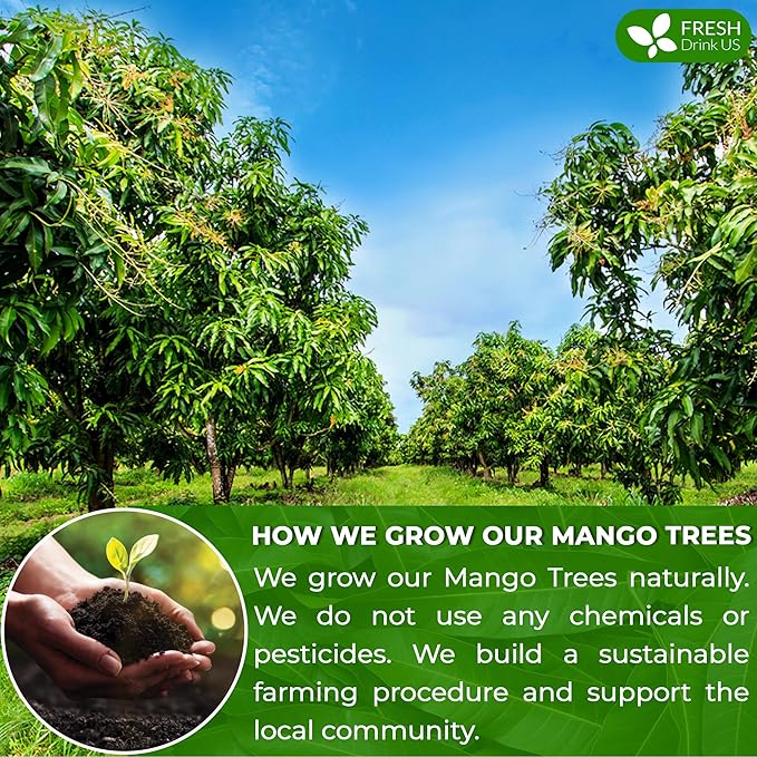 FreshDrinkUS, Premium 140+ Mango Whole Leaves Dried, 100% Natural & Pure from Dried Mango Leaves Tea, No Additives, No Caffeine, Vegan