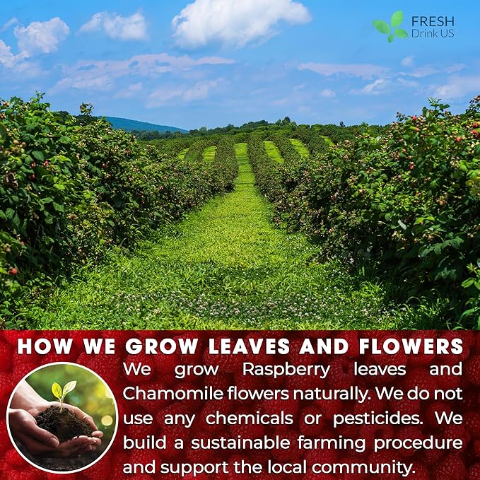 FreshDrinkUS, Premium Raspberry Leaf Tea with Chamomile – 135 Tea Bags | Naturally Caffeine-Free Herbal Blend | Soothing Floral Flavor | Premium Loose Herbal Tea in Natural Material Tea Bags