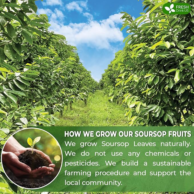 FreshDrinkUS, 60 Premium Soursop Graviola Fruit Tea Bags, 100% Natural and Pure from Soursop Fruits, Made With Natural Materials-Corn Fiber Tea Bag, Sugar/Caffeine/Gluten Free, Hoja Guanabana Tea