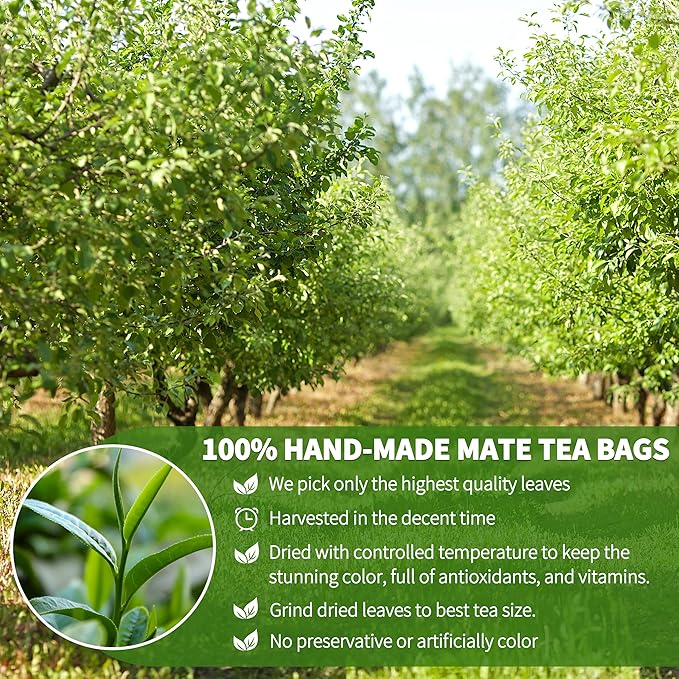 Yerba Mate Tea Bags with 40 Count - Supports Cardiovascular & Digestive Systems, Keep Youth.