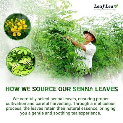 LeafLea 80 Senna Leaf Tea Bags – Natural Herbal Laxative Tea, Supports Gentle Constipation Relief & Healthy Digestion, Caffeine-Free, Sugar-Free, No Gluten, Non-GMO, Vegan, Individually Wrapped